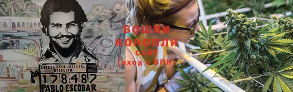 гашик Горно-Алтайск