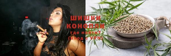 гашик Горно-Алтайск