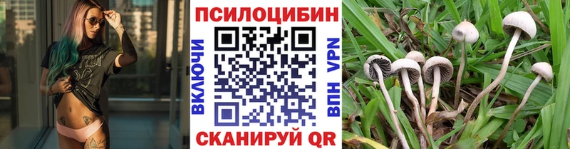 Галлюциногенные грибы Magic Shrooms  купить  сайты  Южно-Сахалинск 